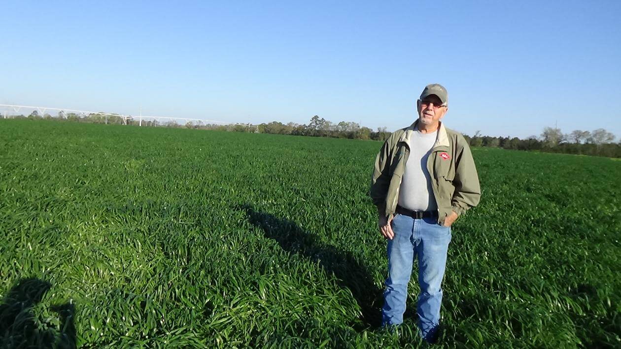 A man standing in a field of grass
