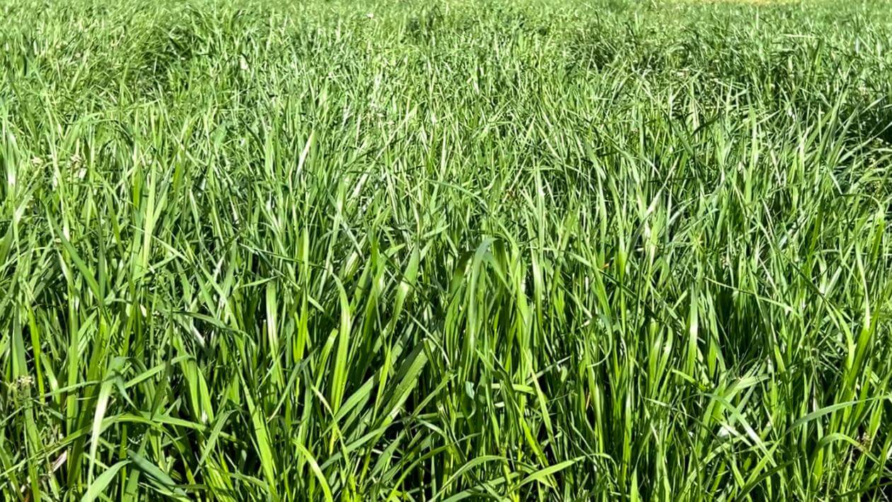 Ed in Shorter, AL - March 2024