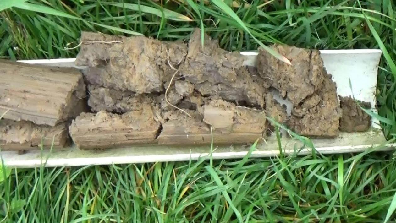 A plastic tube cut in half reveling soil with roots in it.