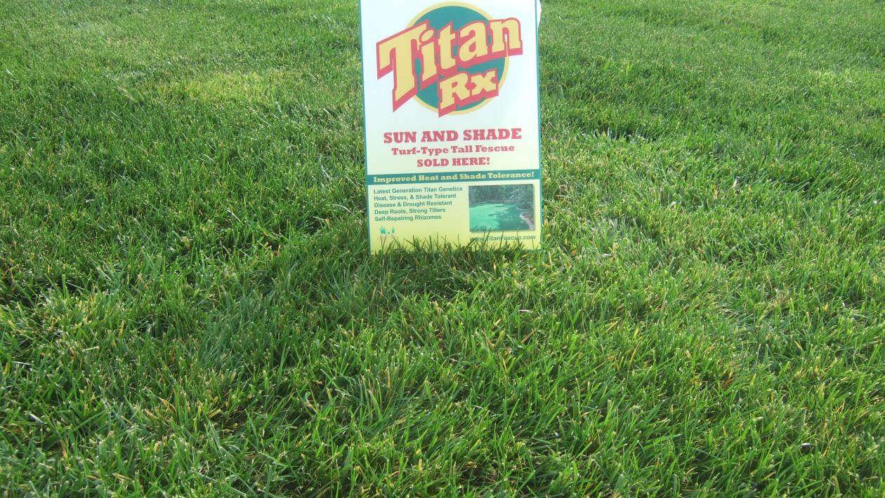 A patch of mowed grass with a sign in it.