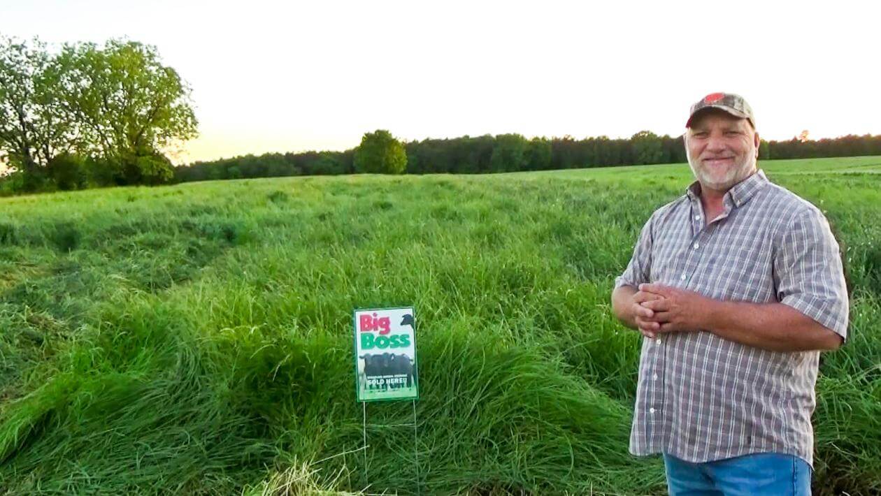 A man standing in a field of grass