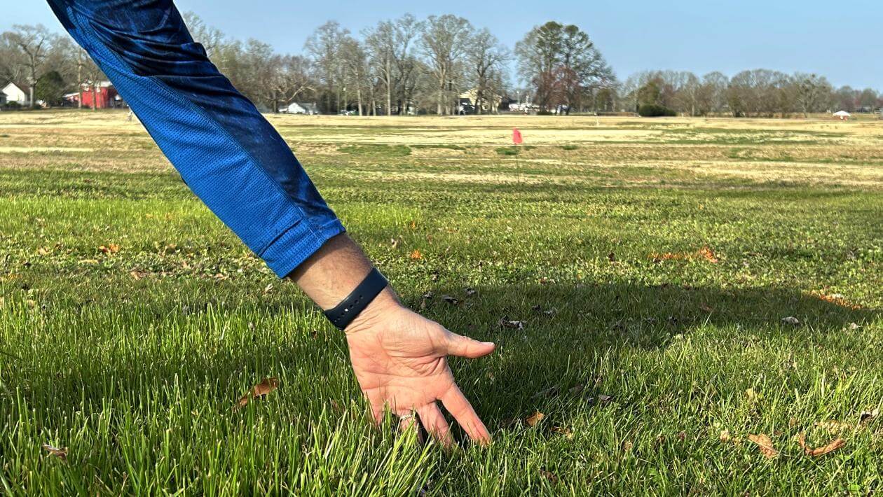 A patch of mowed grass.