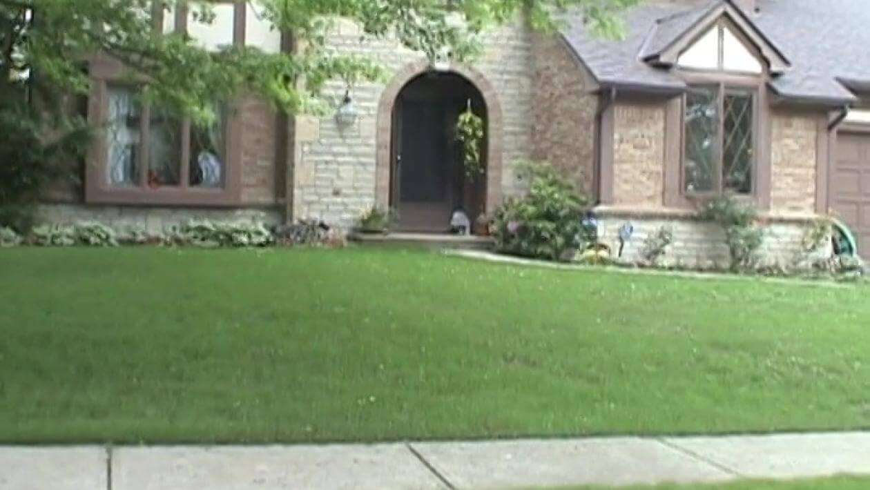 A lawn with a house in the background.