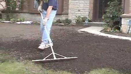 Preview image for the video "New Lawn Part 6 - My Favorite Lawn Tool".
