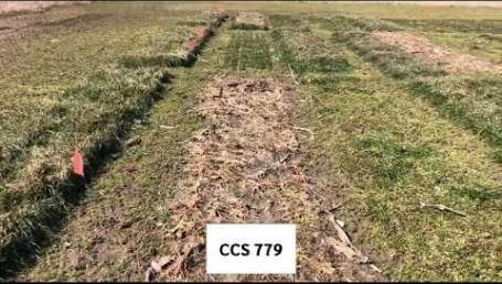 Preview image for the video "Ohio State 2020-2021 Cover Crop Trials - Spring Walkthrough".
