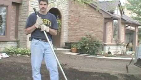 Preview image for the video "New Lawn Part 7 - Create the Right Environment".