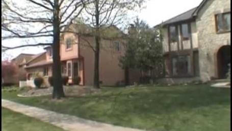 Preview image for the video "New Lawn Part 2 - Why I Need a New Lawn".