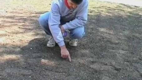 Preview image for the video "New Lawn Part 12 - Review the Seeding Job".