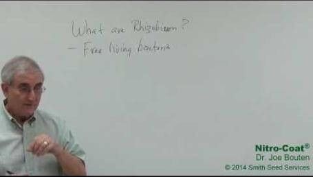 Preview image for the video "Part 1 - What are Rhizobium?".