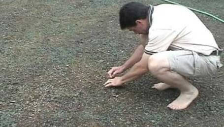 Preview image for the video "New Lawn Part 18 - Millions of New Plants - WOW!".