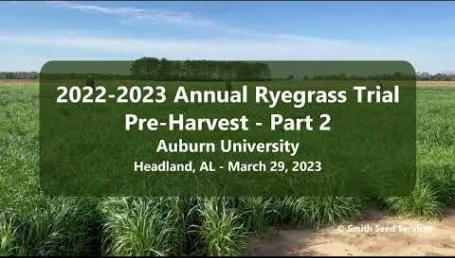 Preview image for the video "2022-2023 Auburn University Annual Ryegrass Trial – Headland, AL – Pre-Harvest - Part 2".
