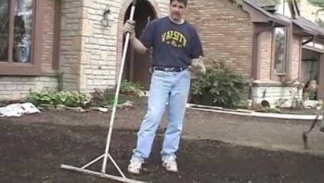 Preview image for the video "New Lawn Part 8 - Competing With Trees".