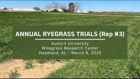 Preview image for the video "2025 Annual Ryegrass Trials - Wiregrass Research Center (Rep #3)".
