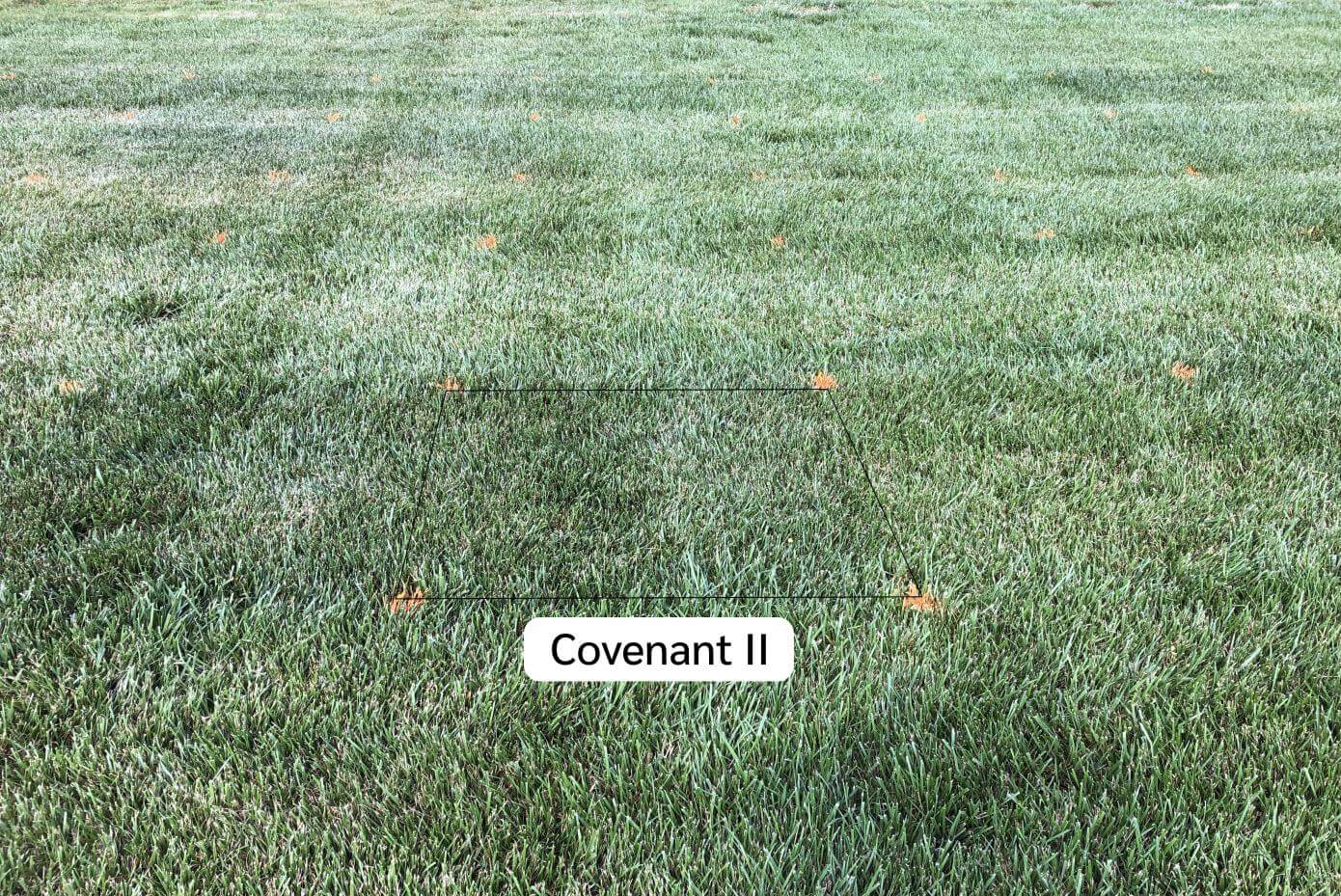 Covenant II in Griffin, GA