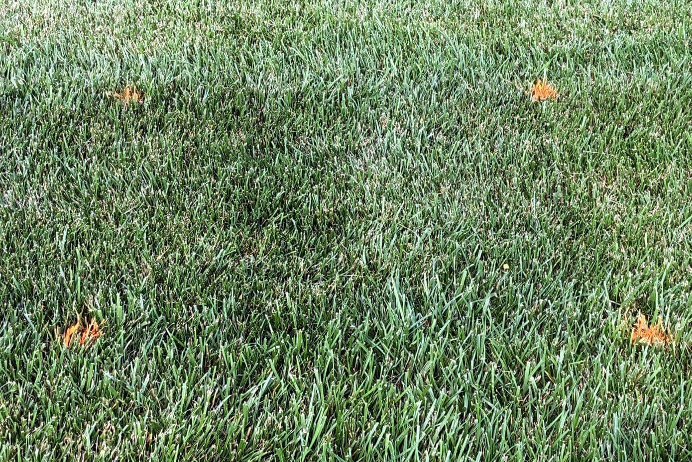 Covenant II in Griffin, GA