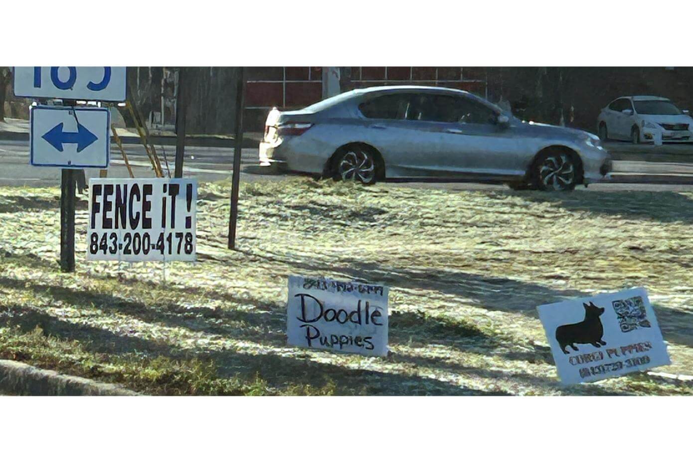 A street corner with signs in the grass