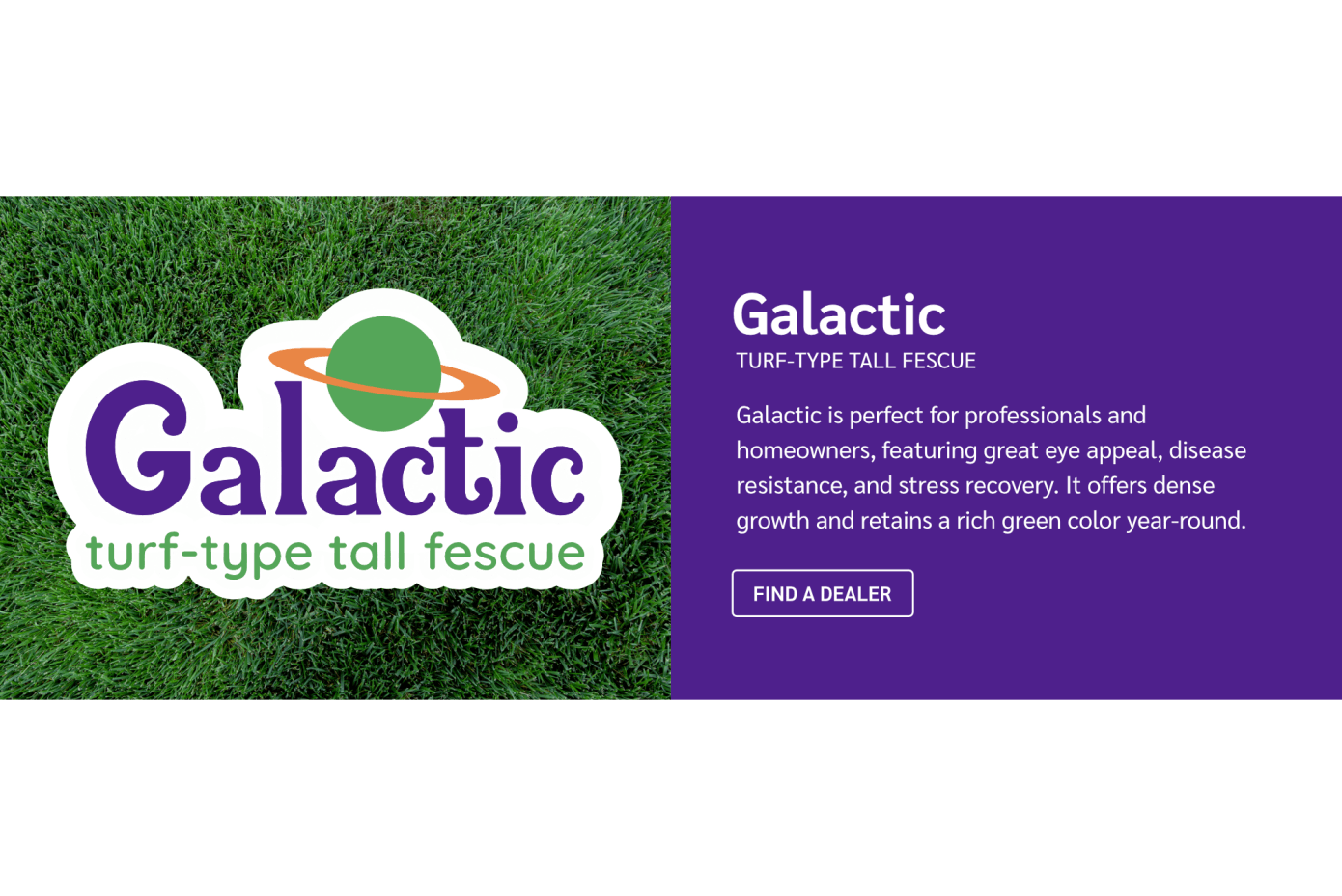 Galactic logo with a background of Galactic grass.
