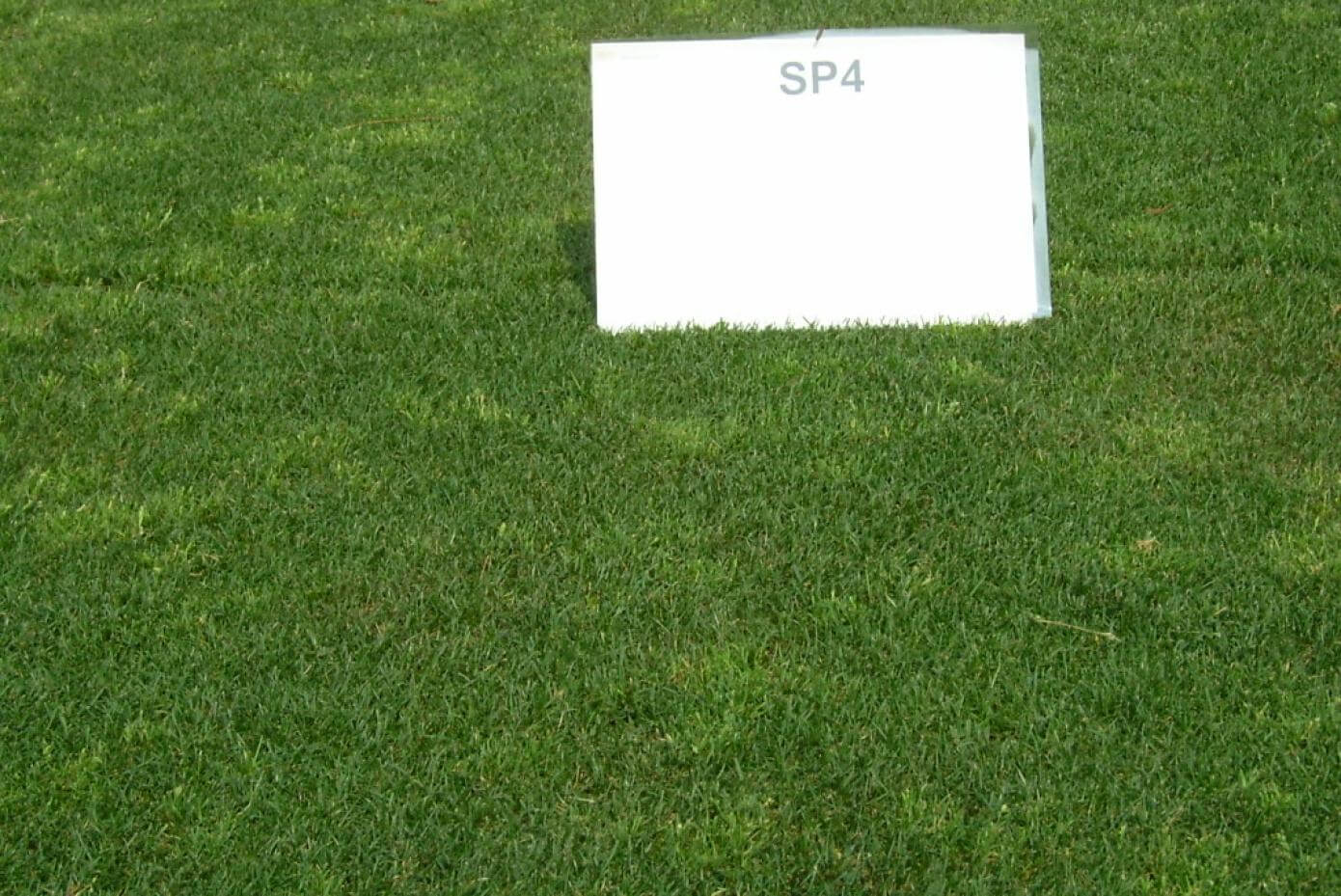 Nexus XD in a research trial