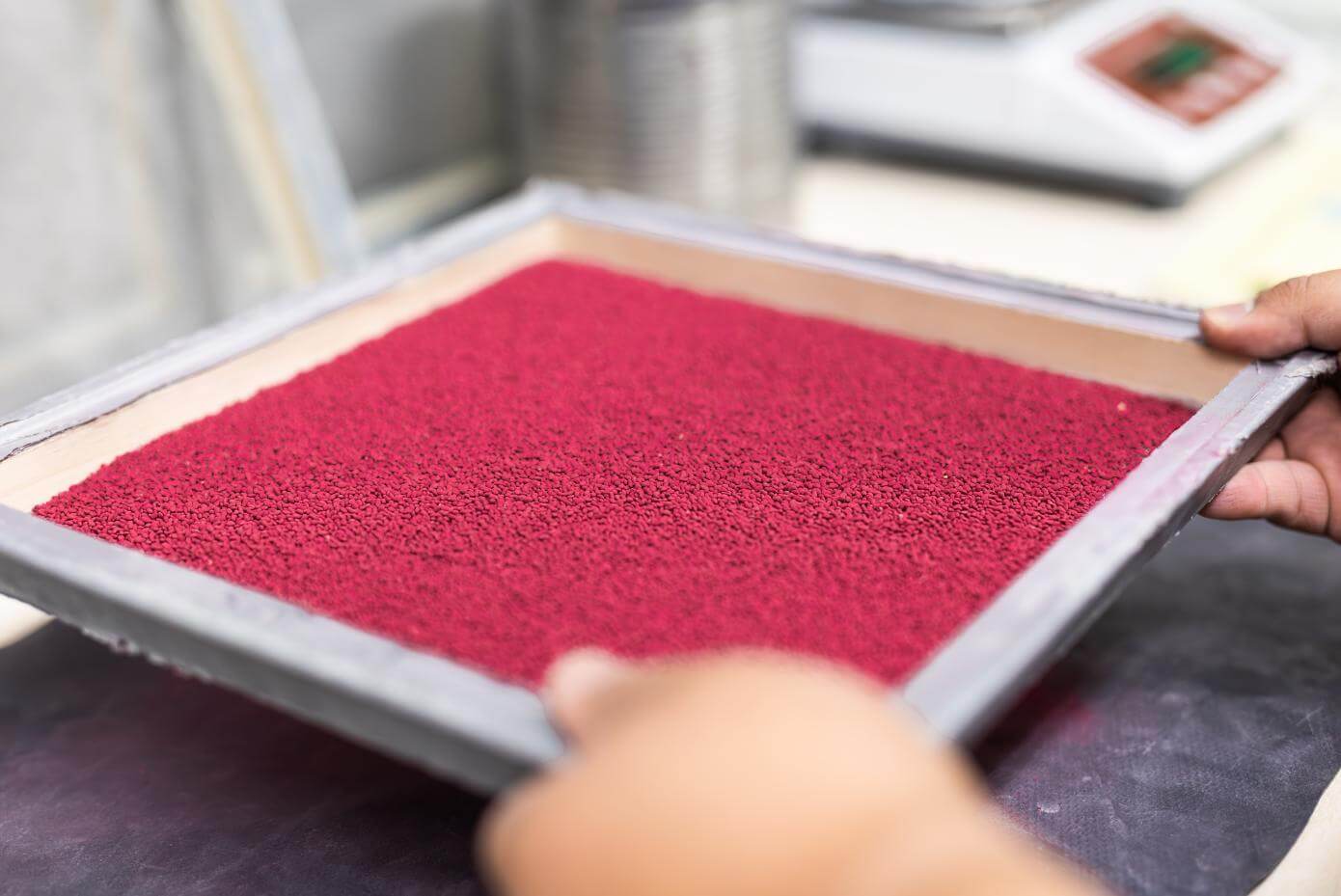 Coated seed in a tray