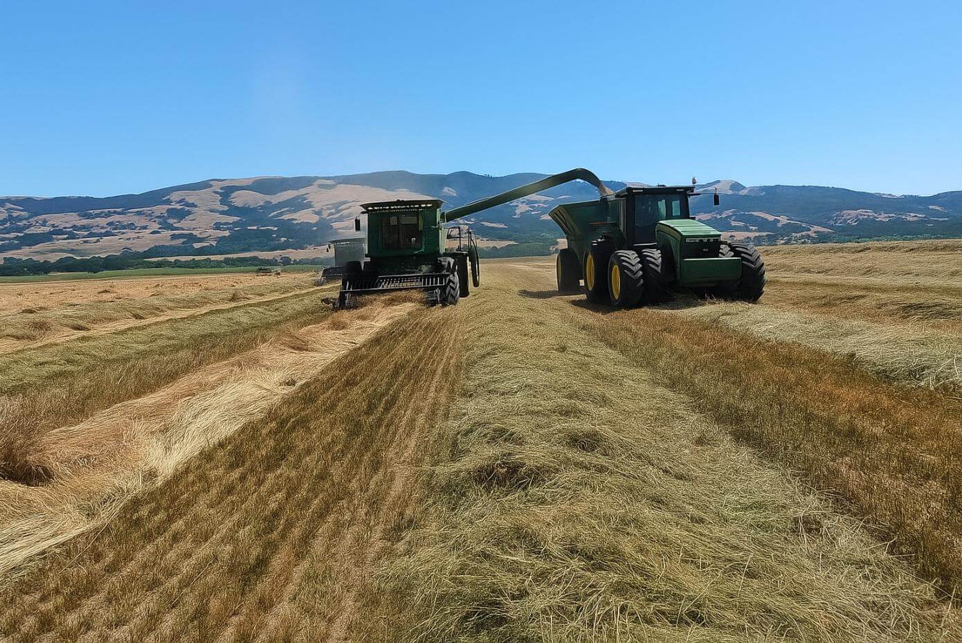 wo agricultural machines operate in a crop field—one harvesting, the other transferring material via a chute. The field shows alternating rows of cut and uncut crops, with airborne dust from the harvesting process.