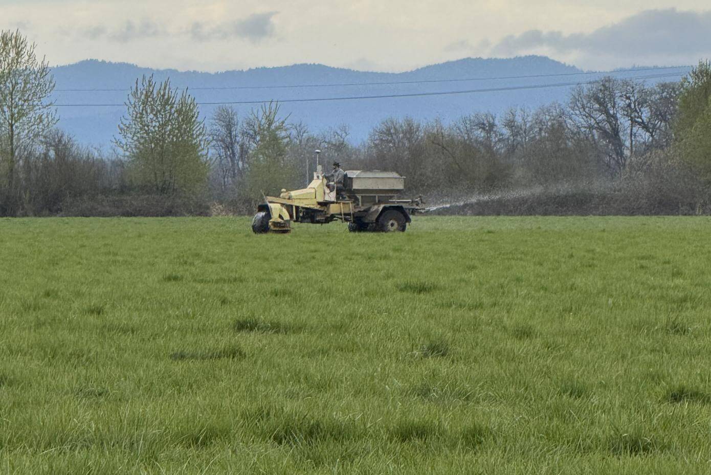 A tractor in field of vegetation.