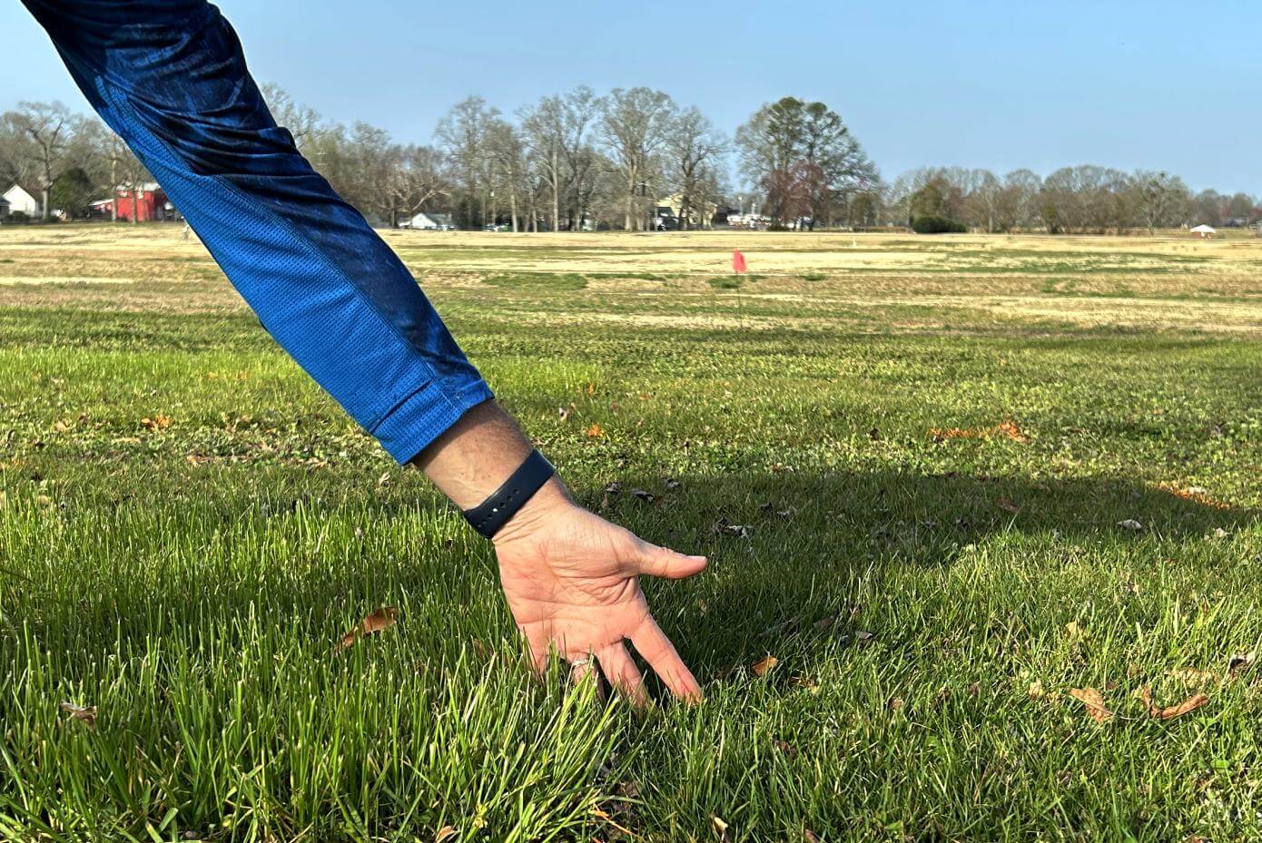 A patch of mowed grass.