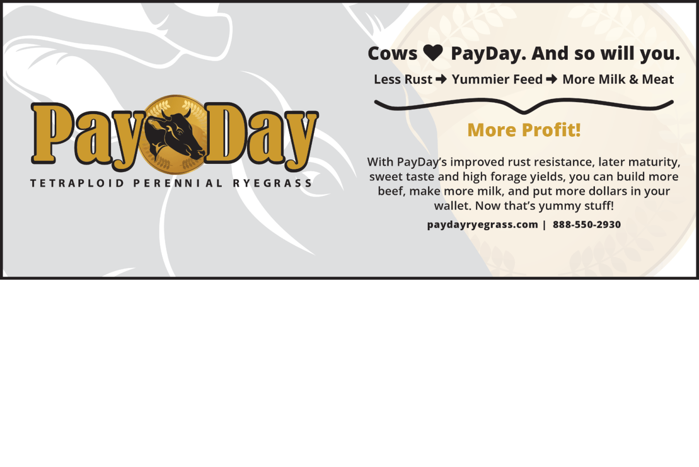 PayDay Tetraploid Perennial Ryegrass information