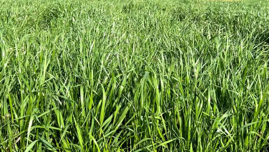 Ed in Shorter, AL - March 2024