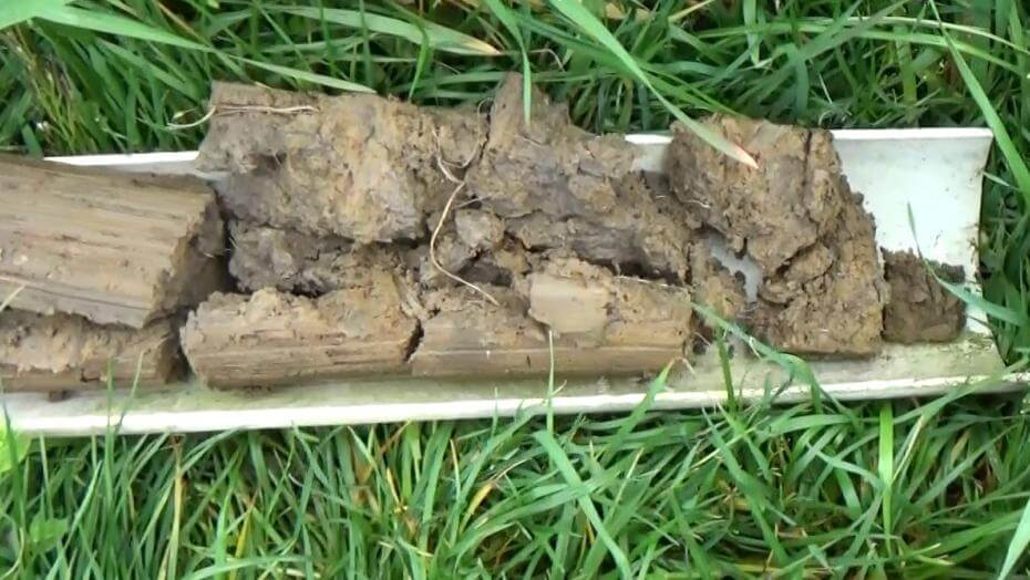 A plastic tube cut in half reveling soil with roots in it.