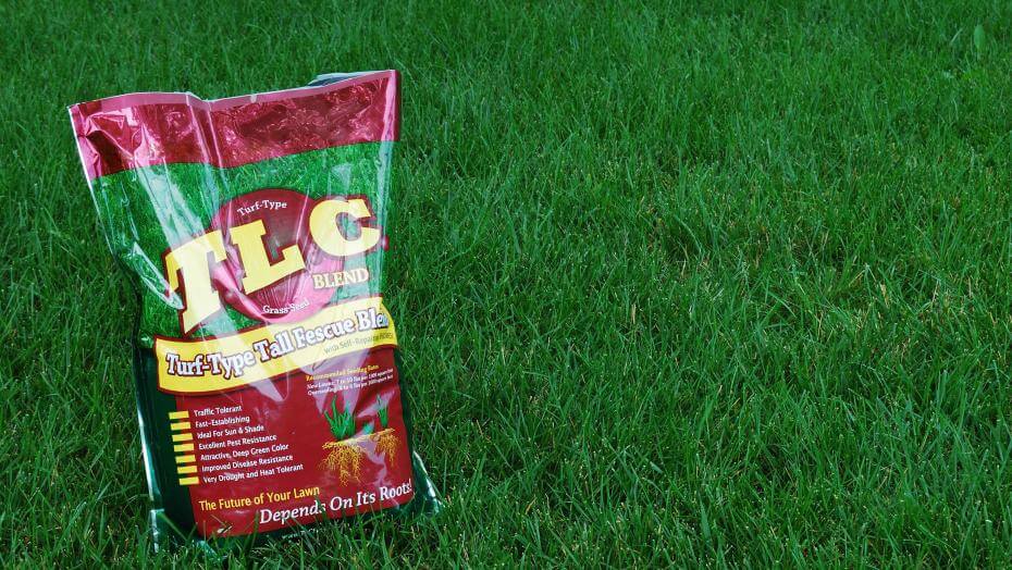 A dense patch of mowed grass with a grass seed bag on it.