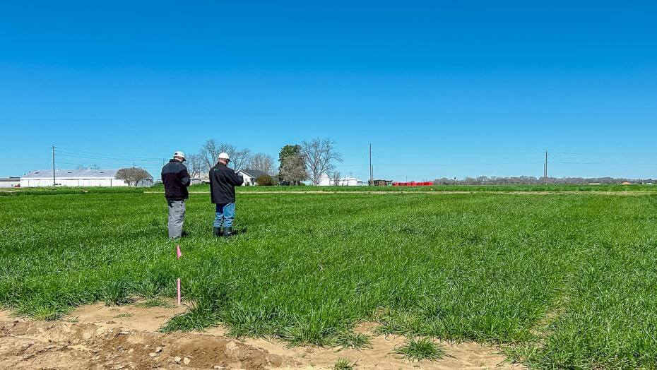 Two men in a field with various patches of vegetation.