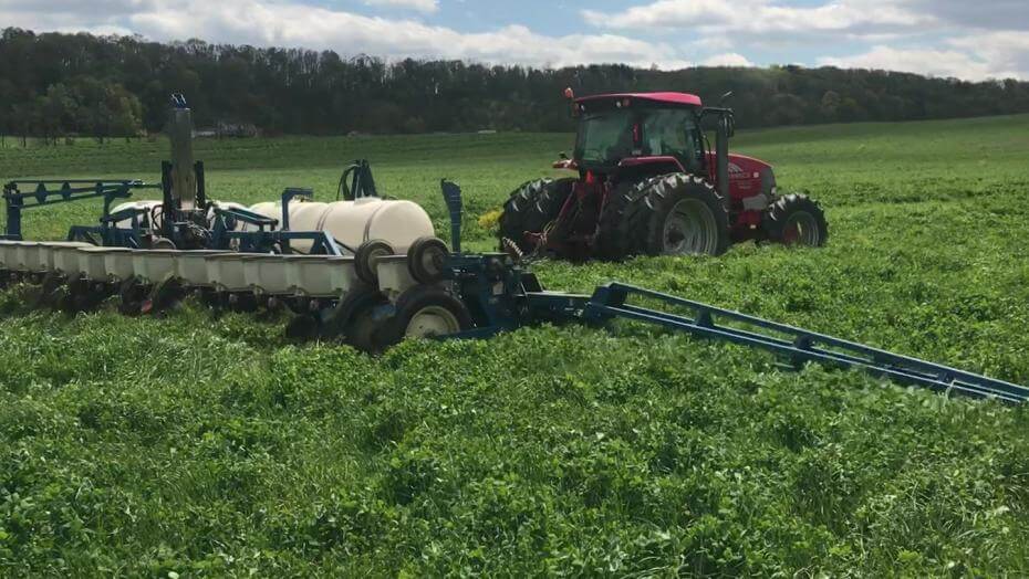 A tractor with a sprayer attached going through a field with dense vegetation.