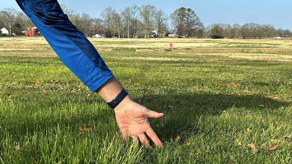 A patch of mowed grass.