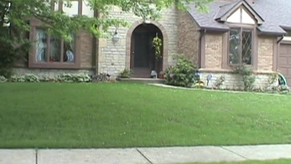 A lawn with a house in the background.