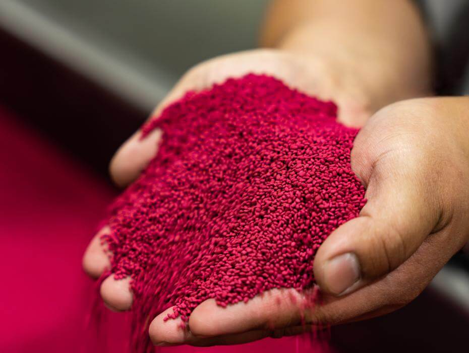 Hands holding red coated seed.